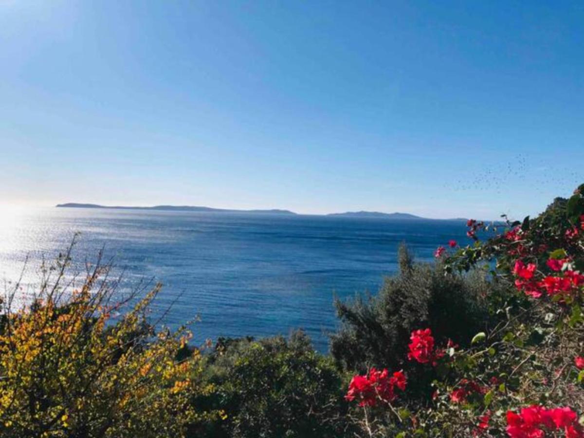 Villa Les Alizes Le Le Rayol-Canadel-sur-Mer 외부 사진
