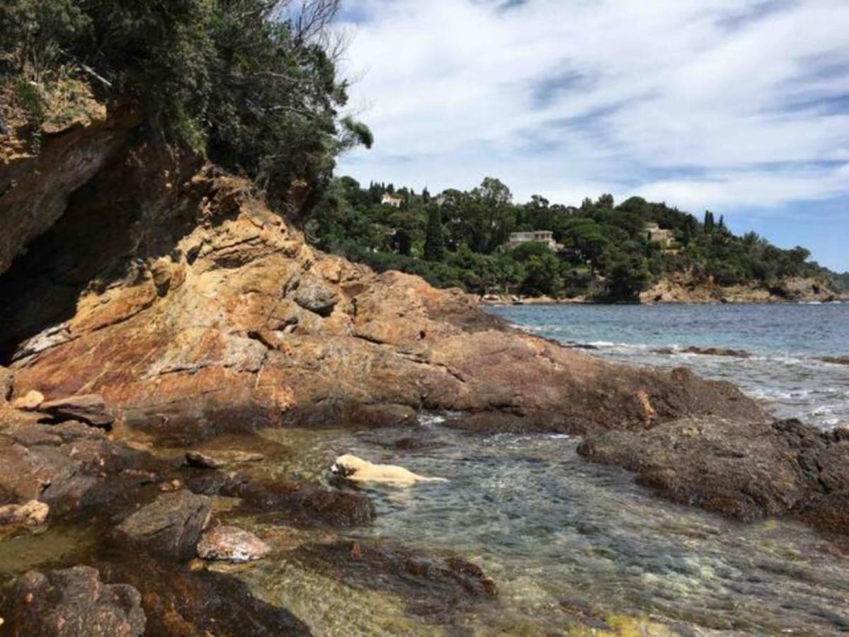Villa Les Alizes Le Le Rayol-Canadel-sur-Mer 외부 사진