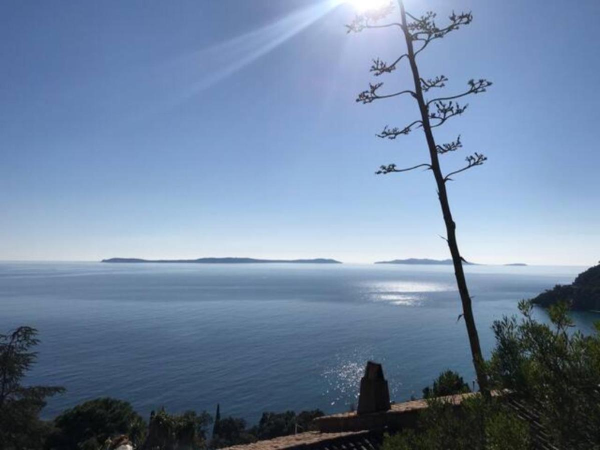 Villa Les Alizes Le Le Rayol-Canadel-sur-Mer 외부 사진