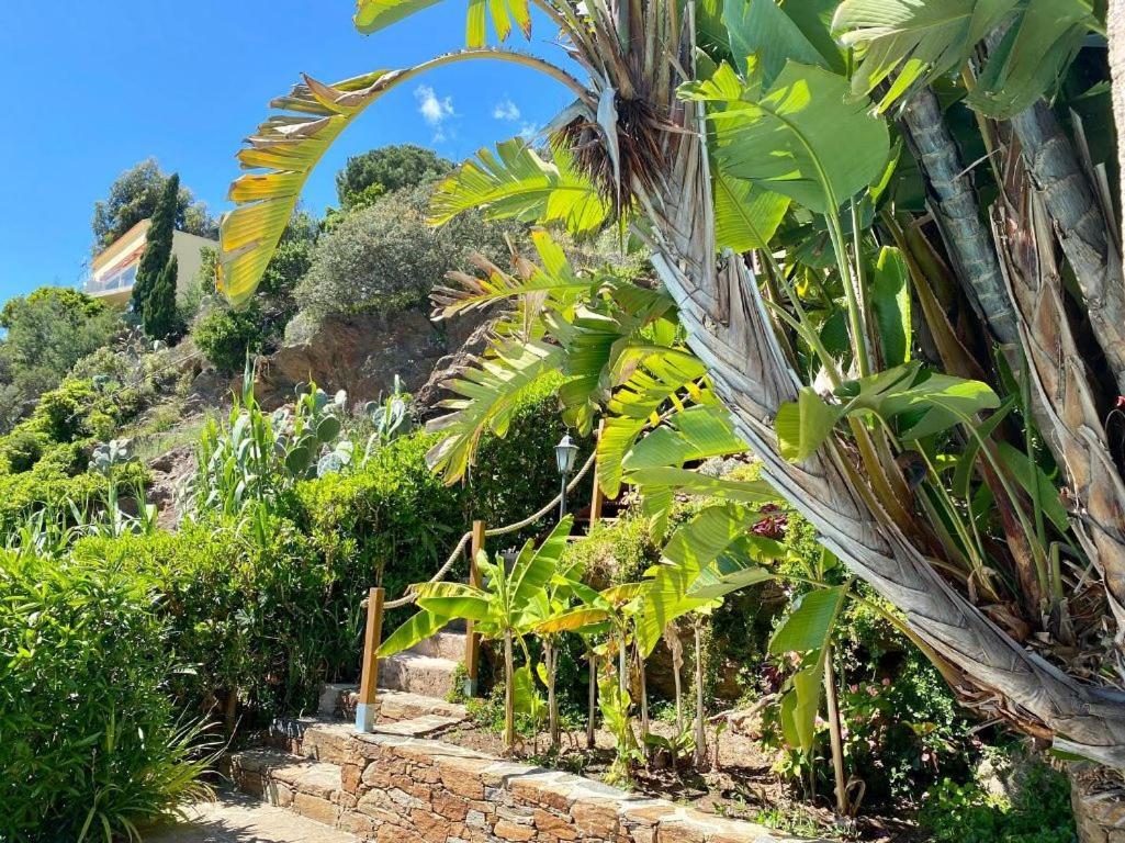 Villa Les Alizes Le Le Rayol-Canadel-sur-Mer 외부 사진
