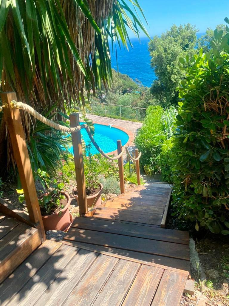 Villa Les Alizes Le Le Rayol-Canadel-sur-Mer 외부 사진