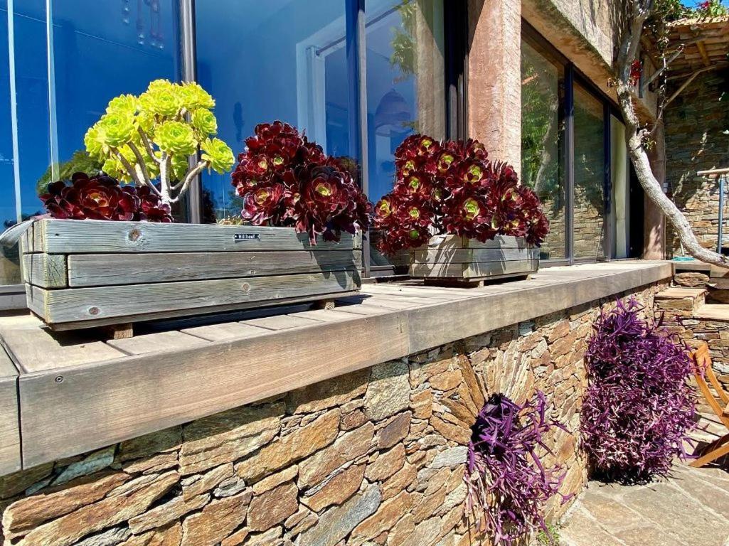 Villa Les Alizes Le Le Rayol-Canadel-sur-Mer 외부 사진