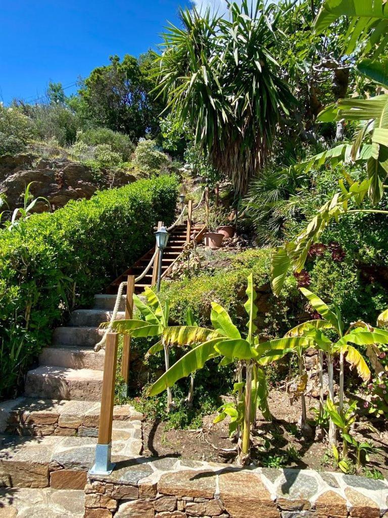 Villa Les Alizes Le Le Rayol-Canadel-sur-Mer 외부 사진