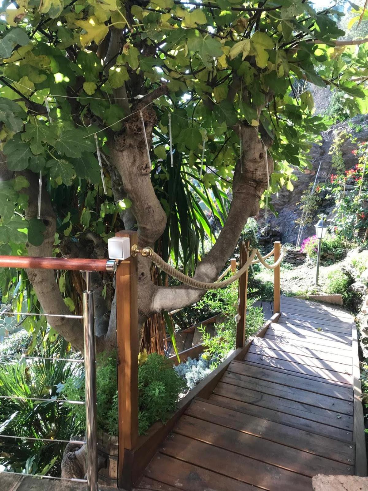 Villa Les Alizes Le Le Rayol-Canadel-sur-Mer 외부 사진